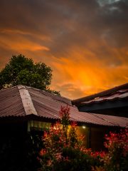 Tomohon
