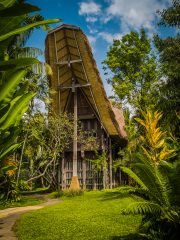Bali Bird Park