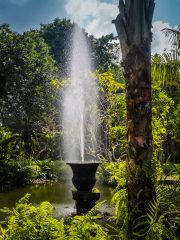 Bali Bird Park