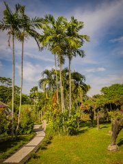 Bali Orchid Garden