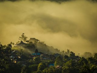 Tamohon early morning