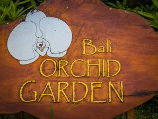 Bali Orchid Garden