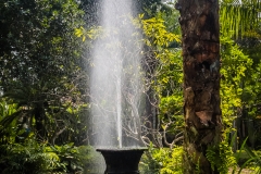 Bali Bird Park
