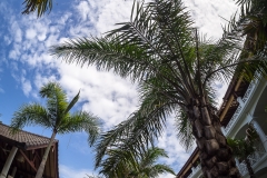 OK Divers Resort & Spa