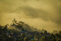 Tamohon early morning