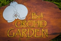Bali Orchid Garden